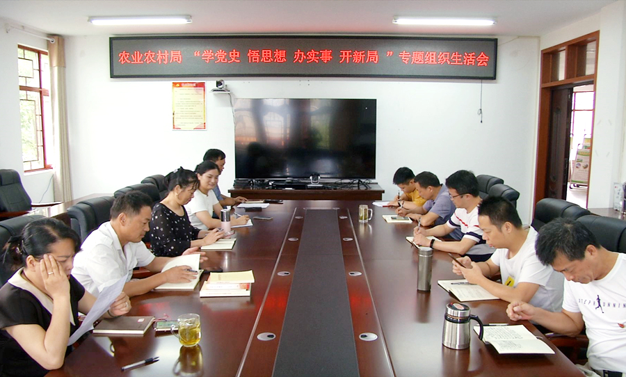 区农业农村局召开“学党史 悟思想 办实事 开新局”专题组织生活会