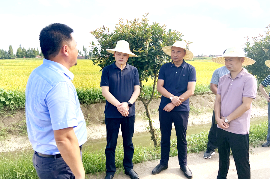 省农业农村信息中心麻剑钧一行来西洞庭管理区调研