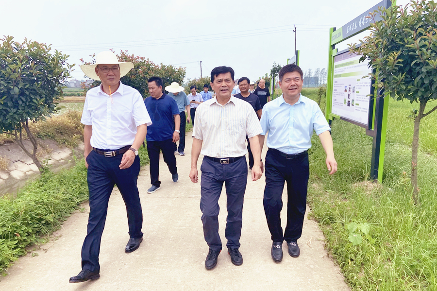 政协常德市第七届委员会第67次主席会议来西洞庭开展视察活动