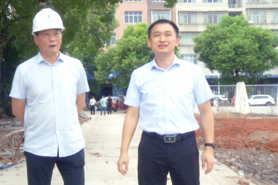郑涵文调研督导为民办实事项目建设情况