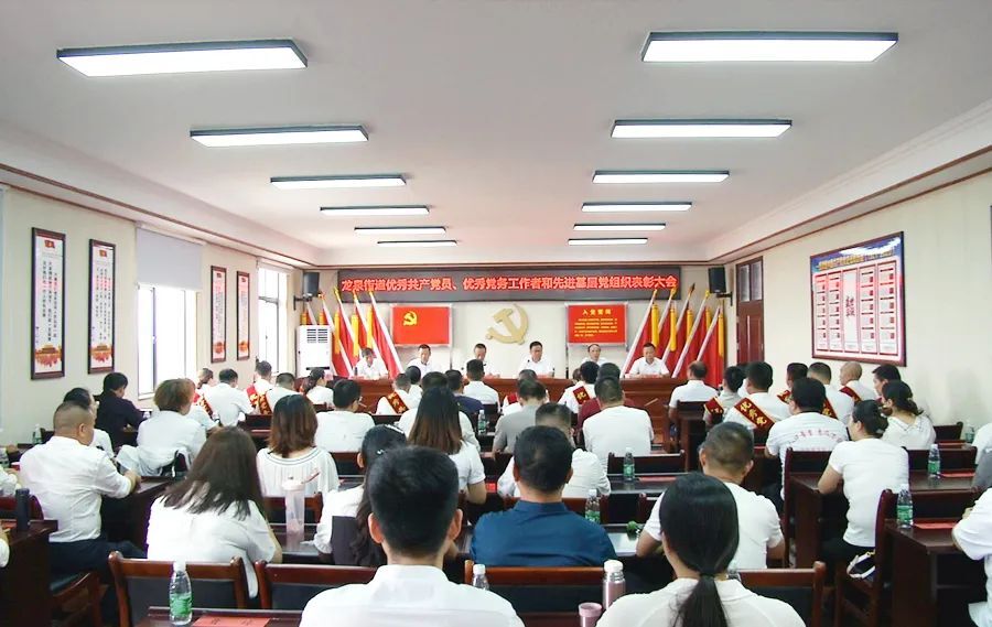 龙泉街道优秀共产党员、优秀党务工作者和先进基层党组织表彰大会召开