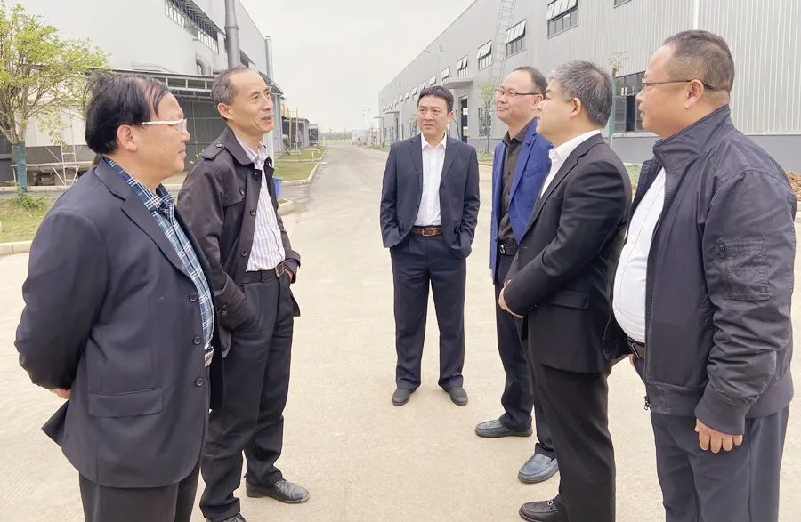 省电池行业协会专家组来西洞庭调研