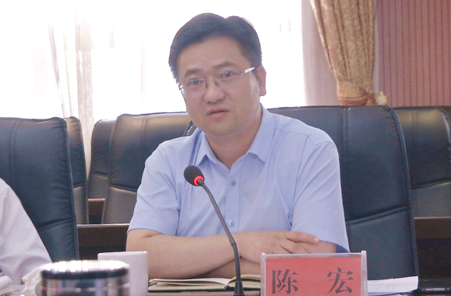 国家电网公司湖南省综合能源公司副总经理陈宏讲话