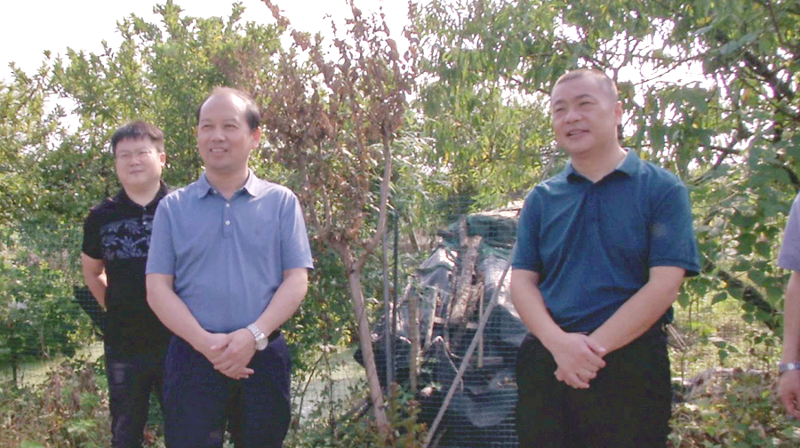 市生环委来西洞庭管理区督导工作