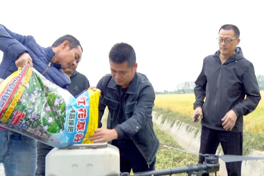 区农业农村局现场指导紫云英示范片播种工作