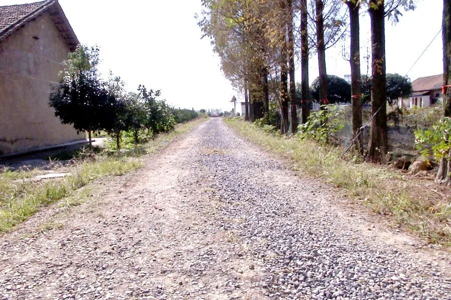 【我为群众办实事】毡帽湖村：修好“农村路”打通为民服务的“最后一公里”