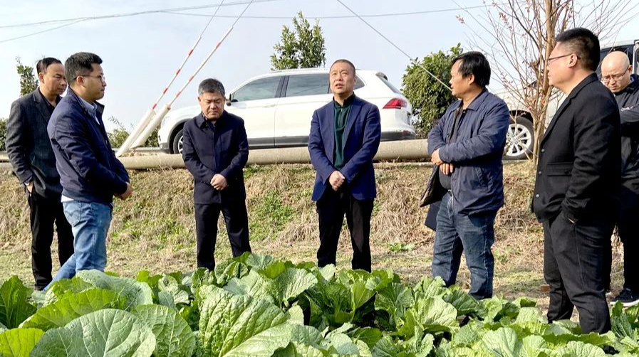 刘爱军实地调研农业农村工作