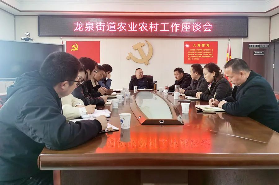 龙泉街道组织召开农业农村工作座谈会