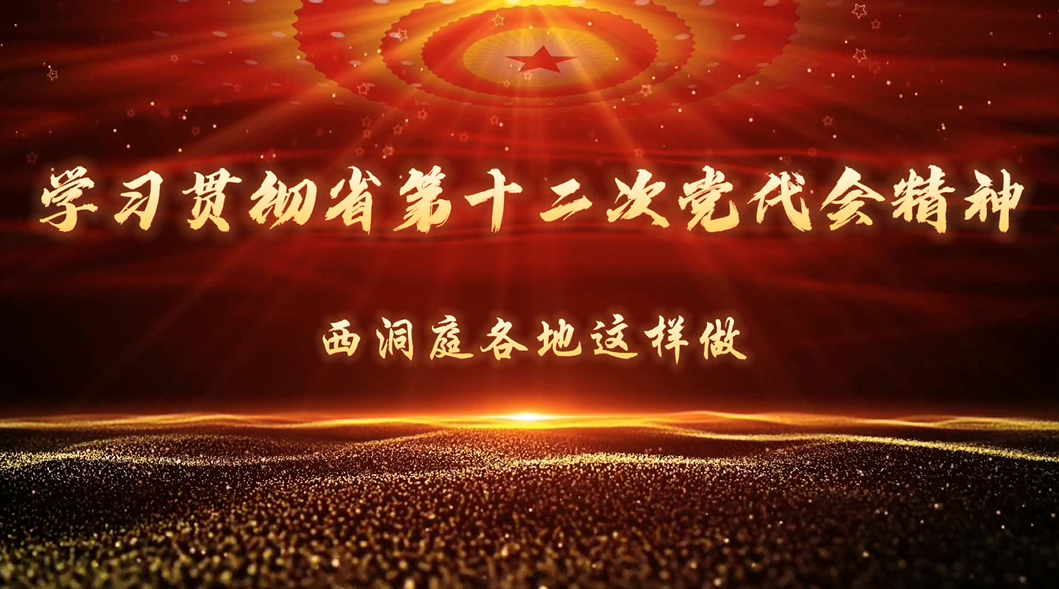 【学习贯彻省第十二次党代会精神】西洞庭各地这样做！（三）