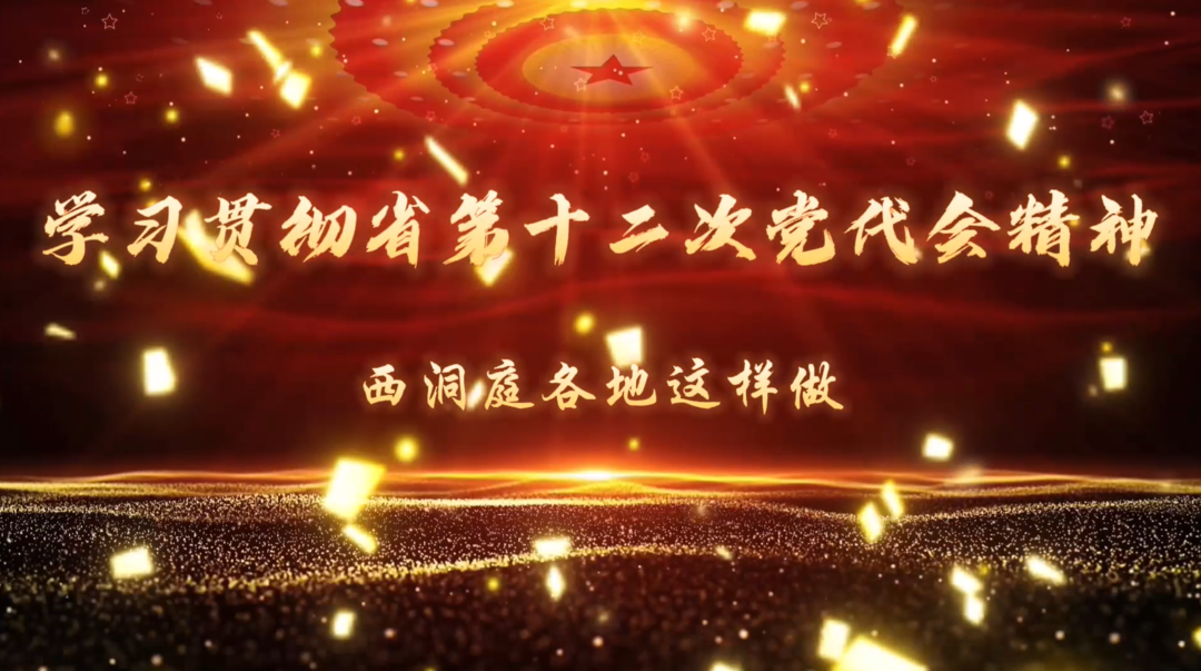 【学习贯彻省第十二次党代会精神】西洞庭各地这样做！（四）