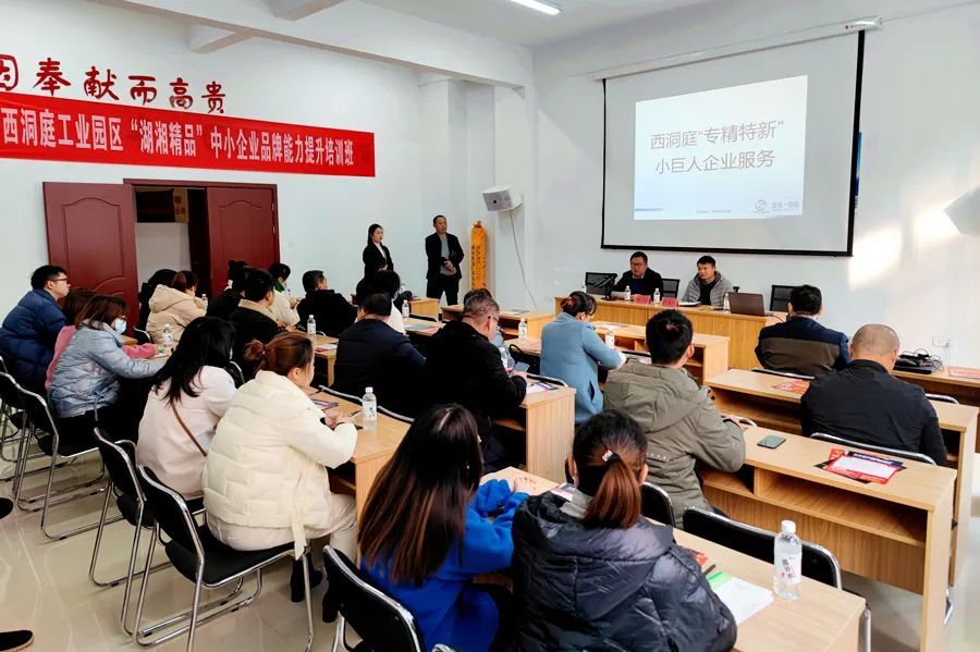 西洞庭组织开展中小企业“专精特新”小巨人企业服务活动