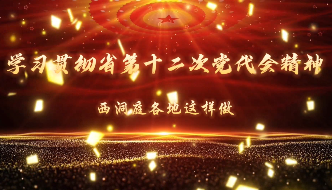 【学习贯彻省第十二次党代会精神】西洞庭各地这样做！(十一)