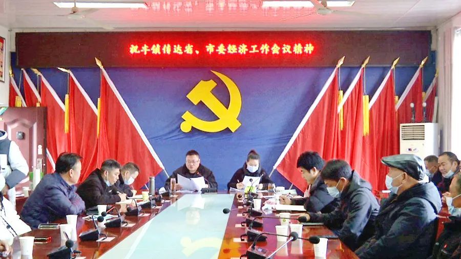 祝丰镇召开会议传达贯彻省委、市委经济工作会议精神