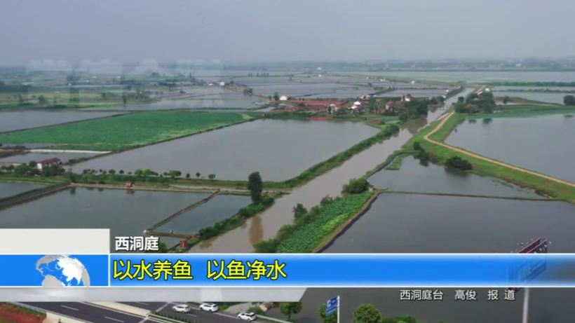 【常德新闻联播】西洞庭：以水养鱼 以鱼净水