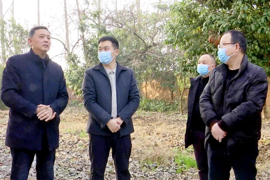 郑涵文督导检查节前疫情防控、安全生产、食品安全等工作