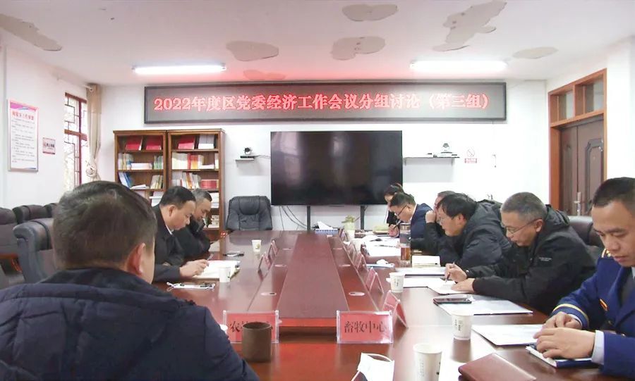 【乘势而上 奋勇向前】 学习经济工作报告：郭蕾、肖全龙参加第三组分组讨论