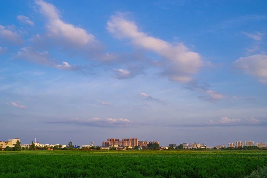 喜讯！西洞庭管理区7项工作获市政府2021年真抓实干表彰奖励