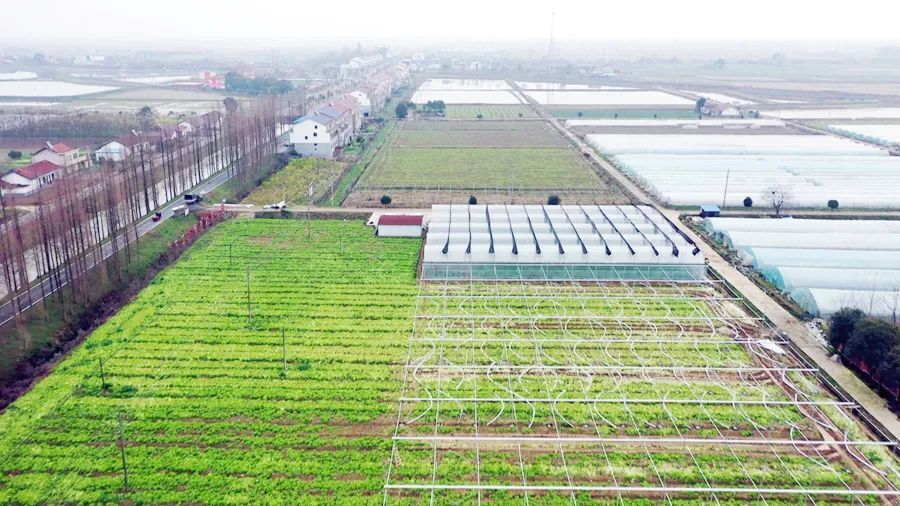 西洞庭：三月好时光 春耕备种忙