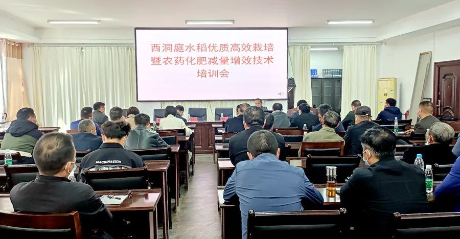 技术培训增信心 携手绘就“备耕画卷” ︱西洞庭开展水稻优质高效栽培暨农药化肥减量增效技术培训