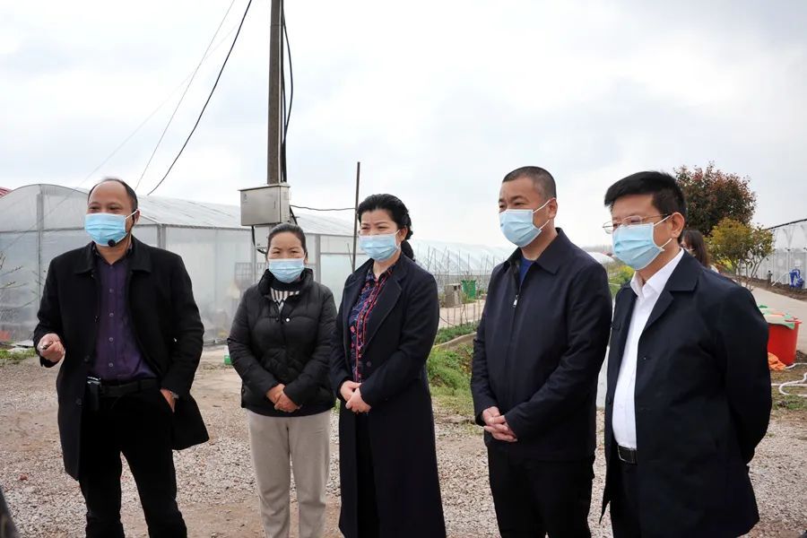 余怀民一行来西洞庭管理区走访基层人大代表