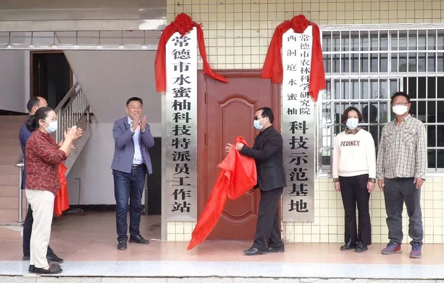 揭牌！我区又多了一个工作站和示范基地