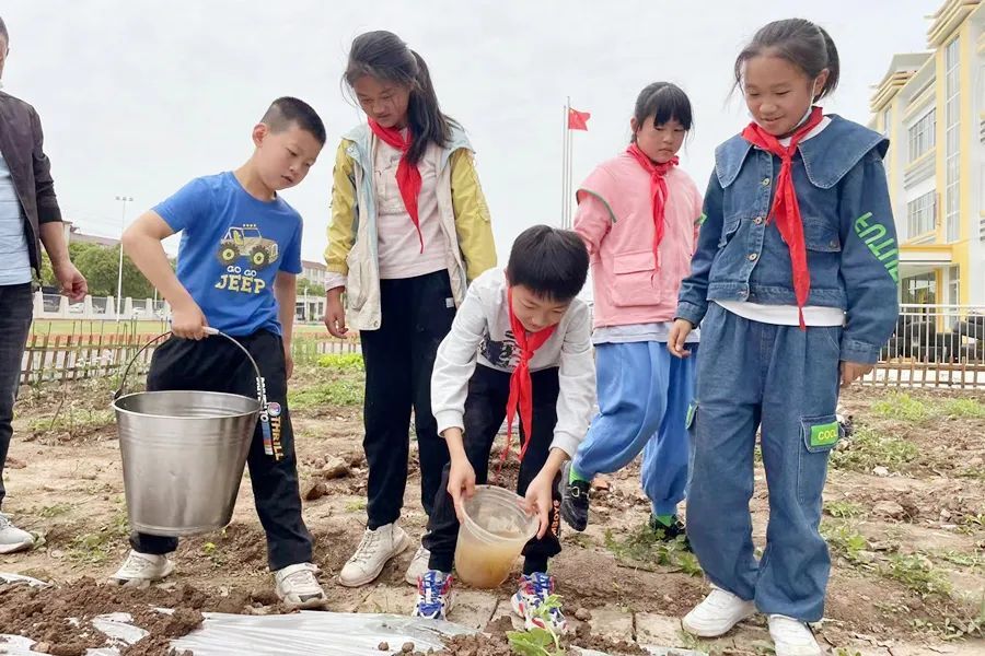 西洞庭：依托趣味劳动课 让“双减”落地见效