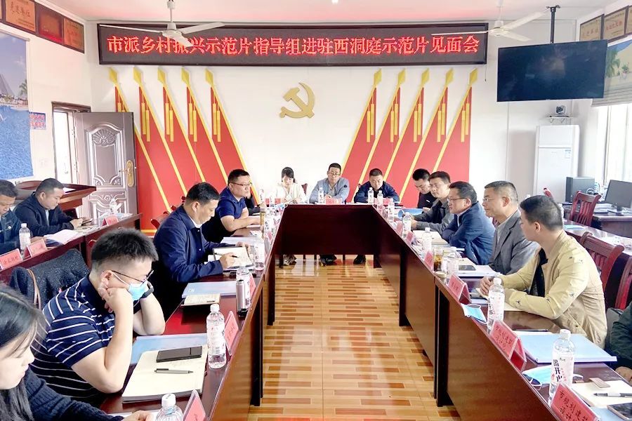 市派驻乡村振兴示范片（示范村）和重点村指导组进驻西洞庭