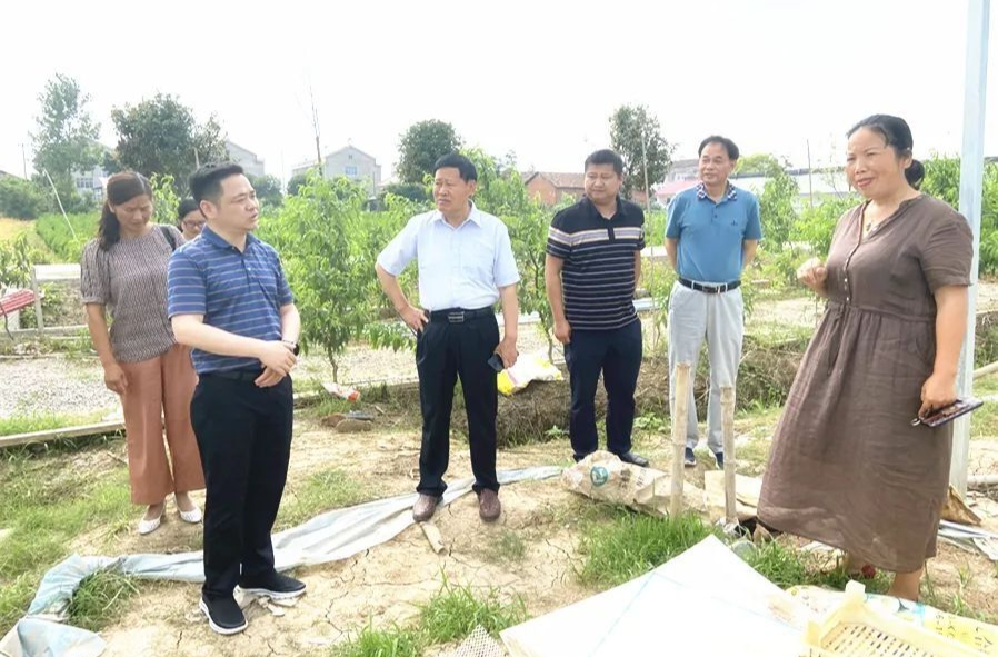 市老科协会长徐超文一行来西洞庭调研