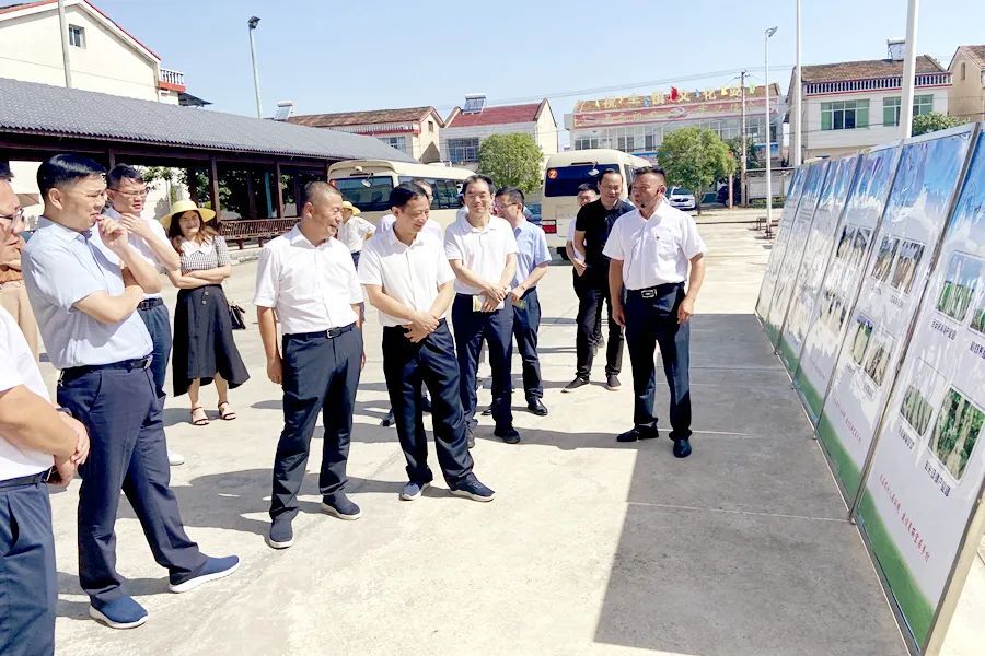 黄清宇带队调研西洞庭管理区乡村振兴示范片建设工作