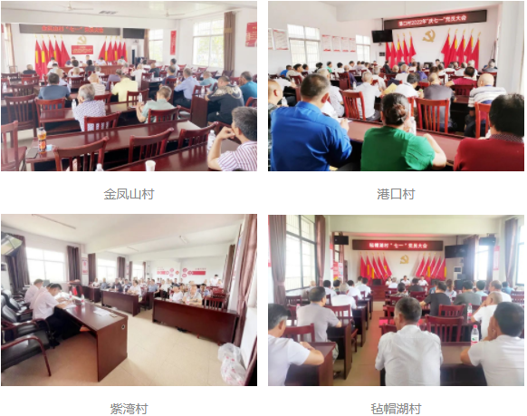 祝丰镇各行政村召开“七一”党员大会