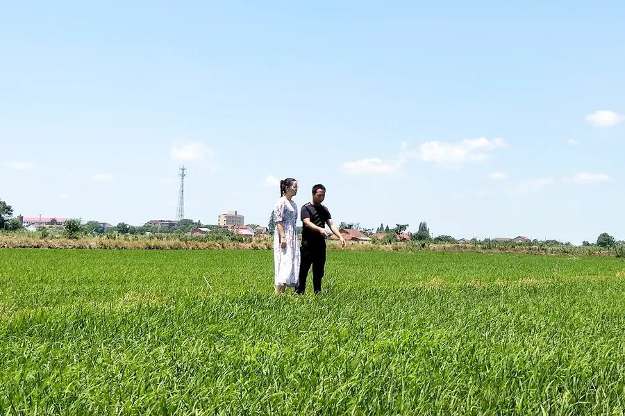 祝丰镇：切实守牢耕地保护红线