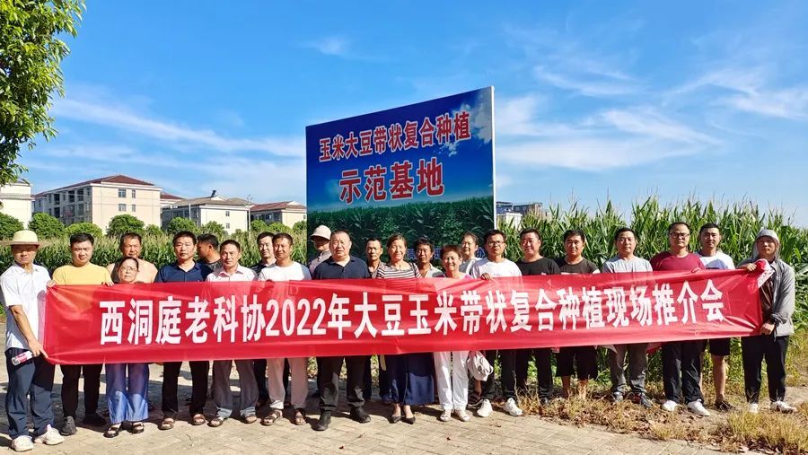 区老科协开展农技现场推介会 助力乡村振兴