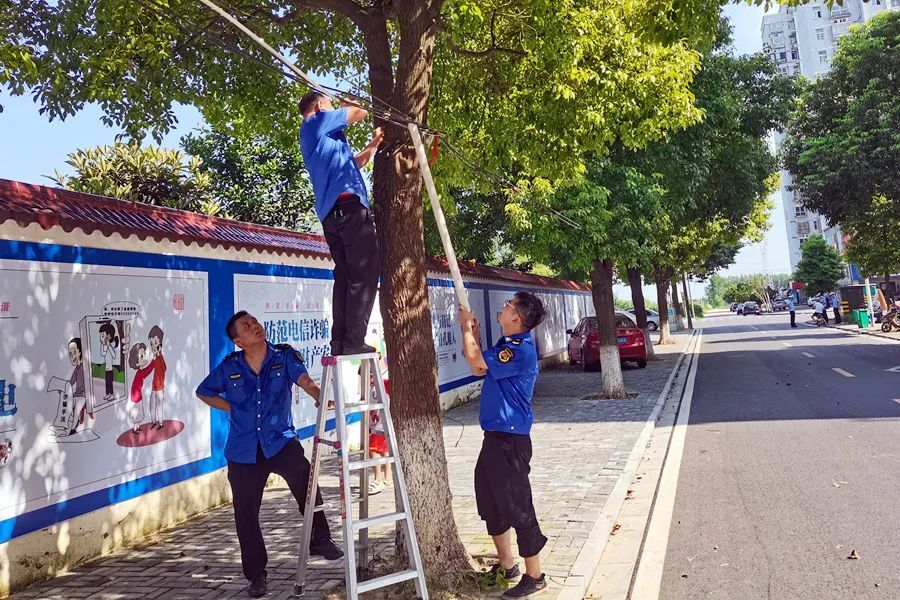 区综合行政执法局：清除空中“蜘蛛网”，让废弃线缆“一剪没”
