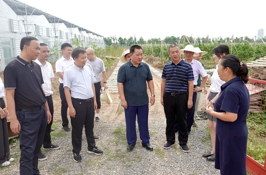 市人大常委会副主任石玉林一行来西洞庭调研
