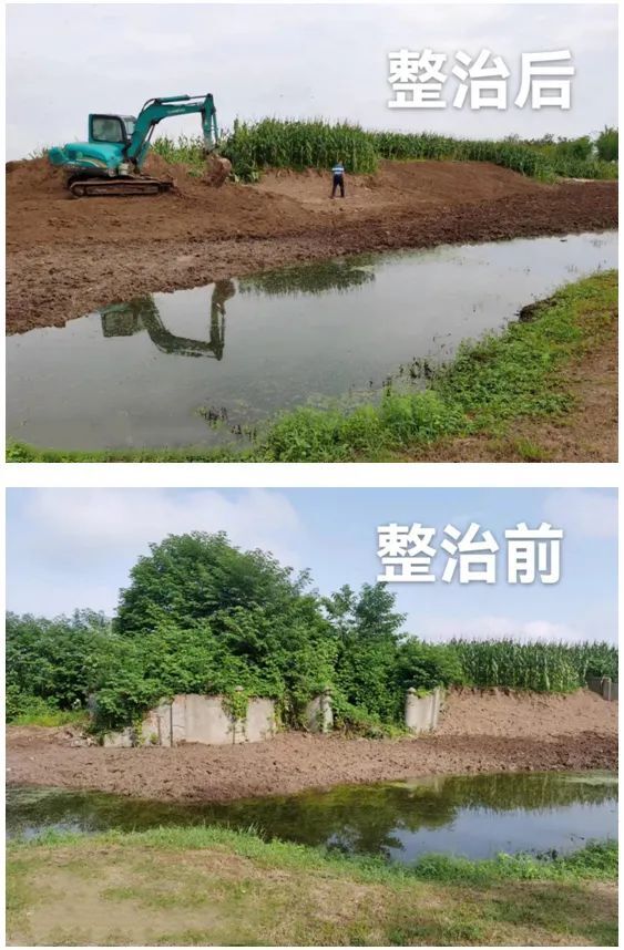 区民政局：移风易俗 整治硬化大墓 倡树殡葬新风