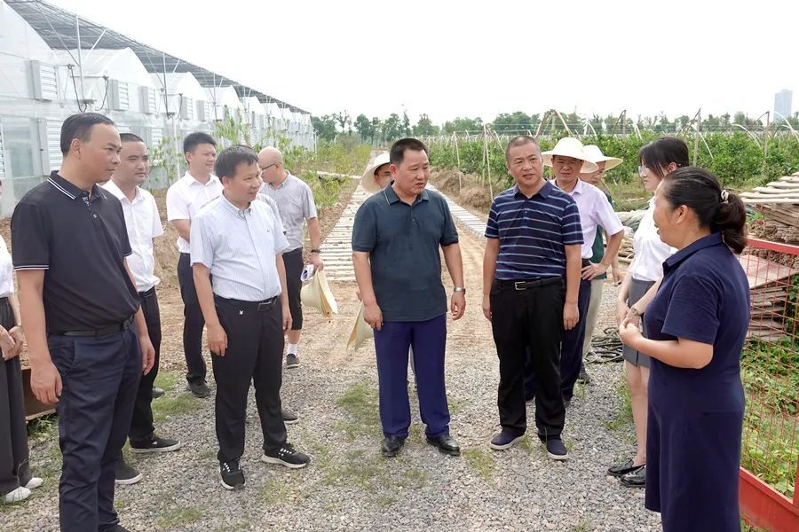 市人大常委会副主任石玉林一行来西洞庭调研