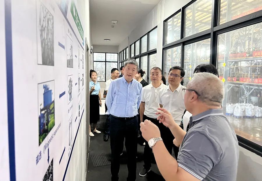 FMG集团、湖南省商务厅一行来西洞庭考察