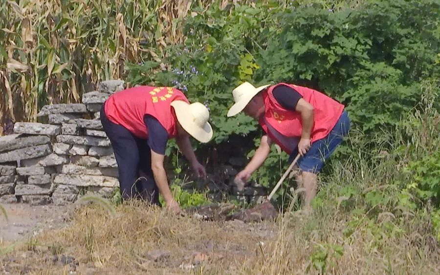【农村人居环境整治】金凤街道：知耻后勇美环境 力争摘掉落后帽子