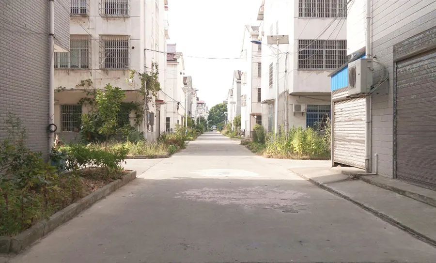 区农业农村局检查一镇两街居民小区点人居环境整治情况