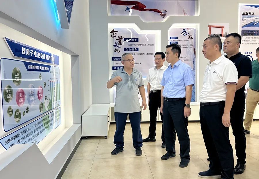 刘国龙实地调研我区新能源与新能源汽车产业