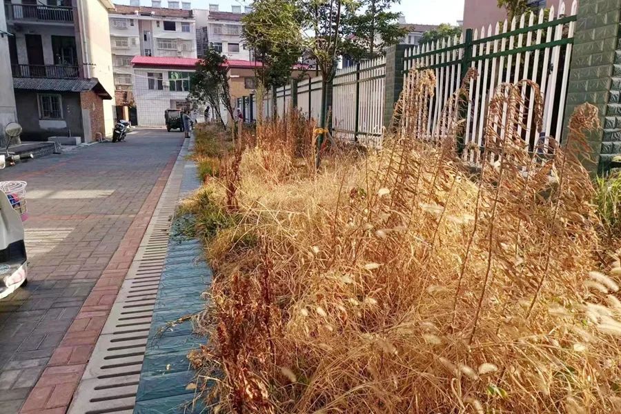 【国家卫生城镇创建】沙河社区：开展环境卫生大整治，助力创建美丽宜居龙泉