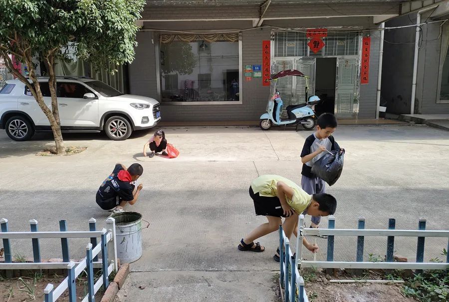 【农村人居环境整治】金凤街道中洲社区：小手拉大手 改善社区人居环境面貌