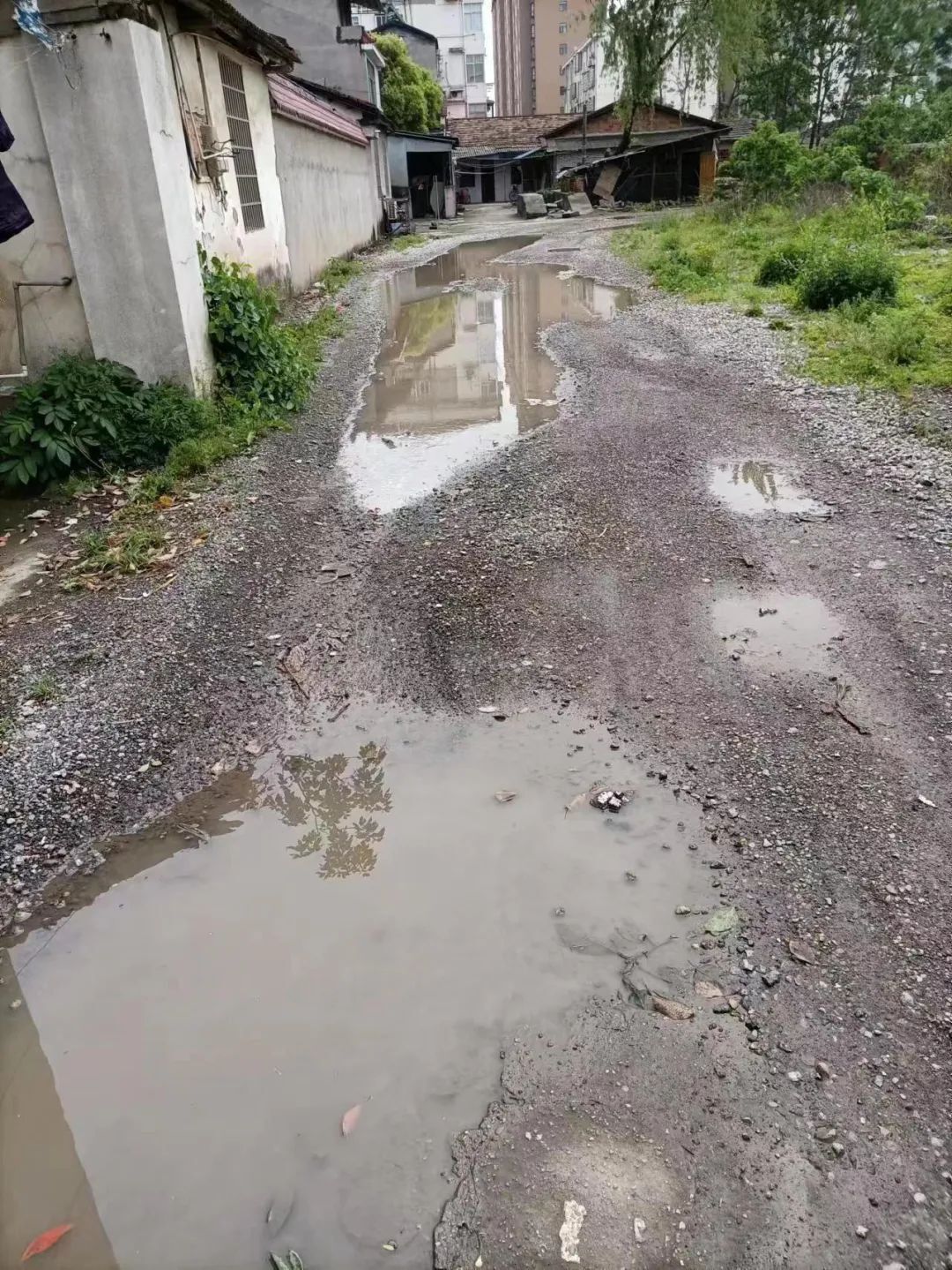 【我为群众办实事】龙泉街道沙河社区：修路补缺，为民排忧解难