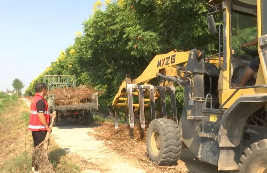 【农村人居环境整治】金凤街道望洲社区：秸秆清运不松懈 人居环境再发力