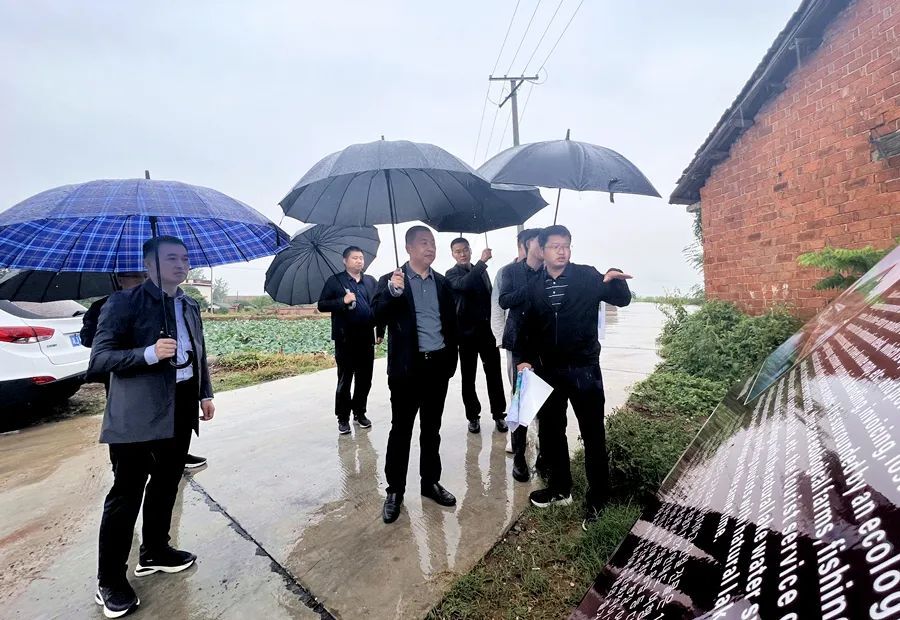 刘爱军实地调研乡村振兴工作