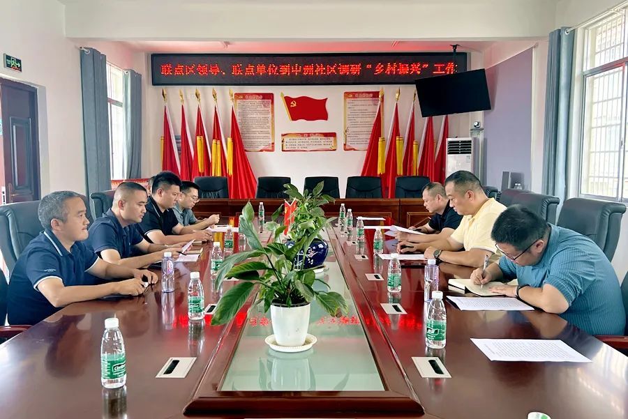 王亮实地督导调研金凤街道中洲社区乡村振兴工作
