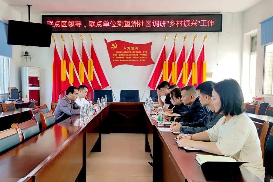 刘建强实地督导调研金凤街道望洲社区乡村振兴工作