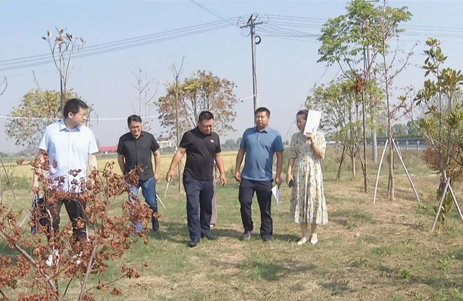 吴籽剑督导我区田长制、林长制工作落实情况