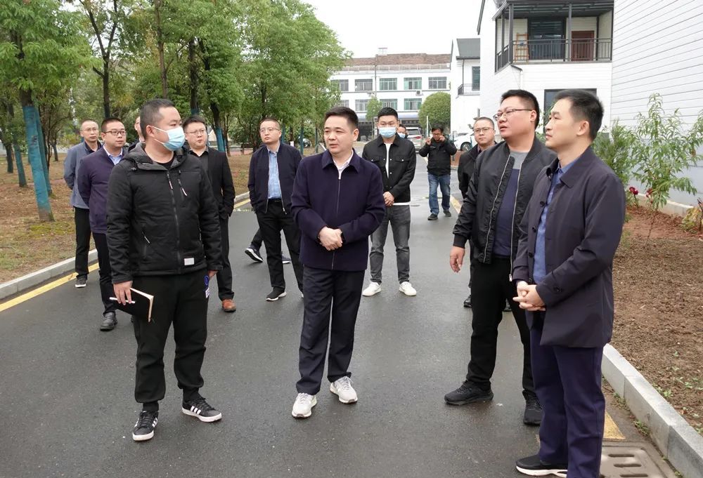 李智勇赴祝丰镇紫湾村调研乡村振兴工作