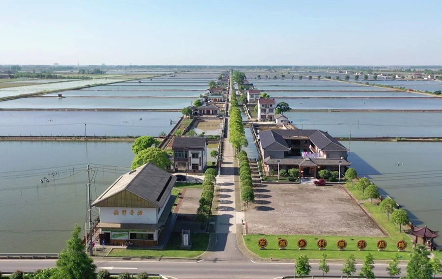 【农村人居环境整治】祝丰镇：多措并举 持续推动人居环境整治